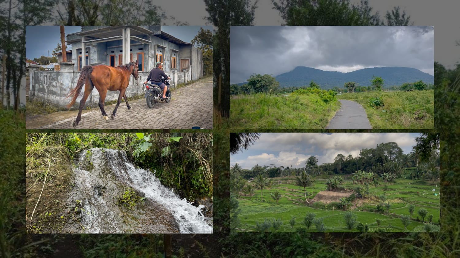 Pariwisata Alam Desa