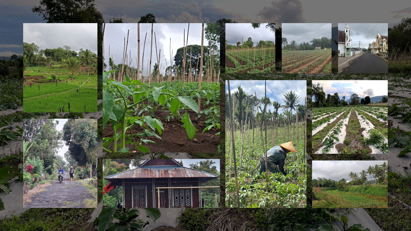 Pemandangan Desa Ampreng